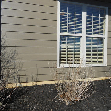 Timber Bark Hardie | New Construction | Ladue, MO. (63124)