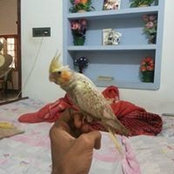 Jas Jasi's photo