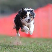 Tracie Johnson's photo
