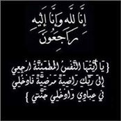 Hamdy Mostafa's photo