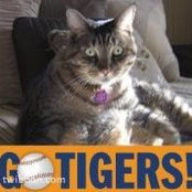 Tim Adamski's photo