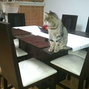Foto de Goose Brown
