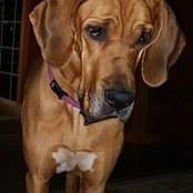 Jane Kleinfelter's photo