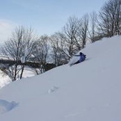 Yuichi Shindoh's photo