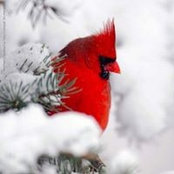 Heather Strange's photo