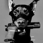 Ross Andersson's photo