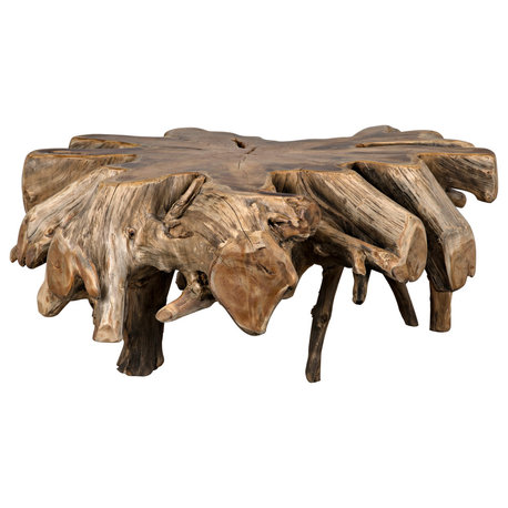 Teak Root Coffee Table