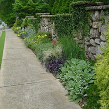Landscape Ideas
