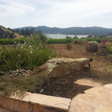 Zen Garden