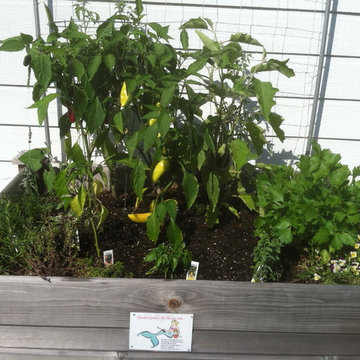 Vegetable & Herb Gardens