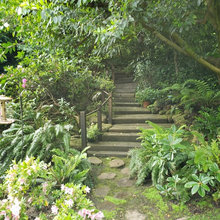 gardens