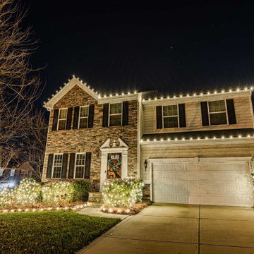 Christmas light installer