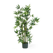 4' Bamboo Silk Plant