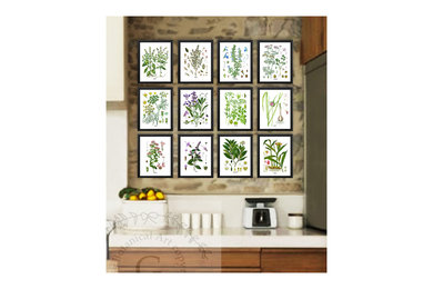 set of 12 unframed herbs wall art prints for your kitchen