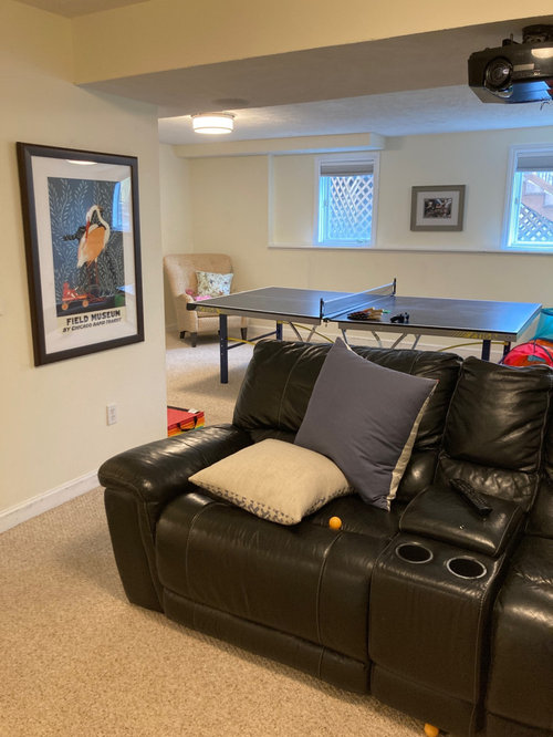 Best lower end sofas or sectionals for basement