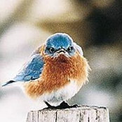 Robyn Krueger's photo