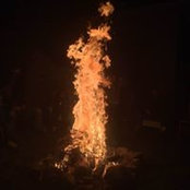 Michelle Tremblay's photo