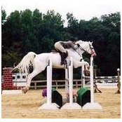 Leigh Ann McDowell's photo