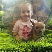 Cynthia Reimer's photo