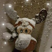Mareike Schmöeさんの写真