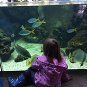 Nadine Ludwig's photo