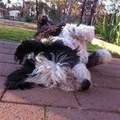 Danielle Coulter's photo