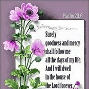 Terry Obright's photo