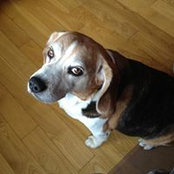 Edward Chang's photo