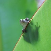 Sue Long's photo