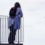 Sue Amos's photo