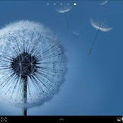 Marie Simon's photo
