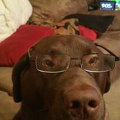 Samuel Young's photo