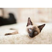 Маргарита Короткова's photo