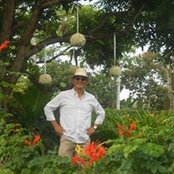 Happy Gardener's photo