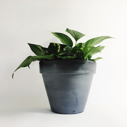 10" Classic Concrete Pot / Medium Gray - Indoor Pots And Planters