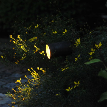 LED Spotlights