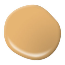 Pyramid Gold PPU6-04 - Paint