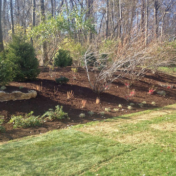 Fall Landscape Buffer Planting