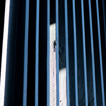 Vertical Veil