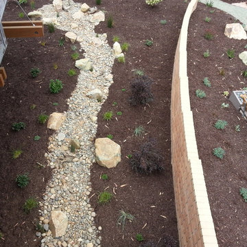 Natural Drainage