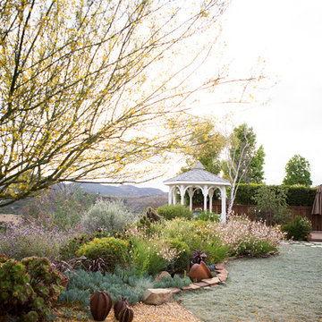 Xeriscape Landscape - Lush Green with Low-Water Plants