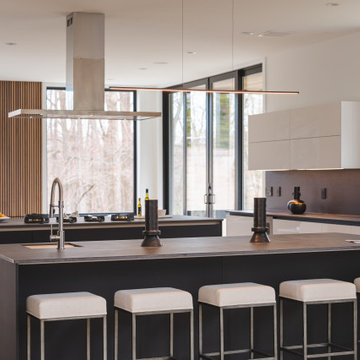 Contemporary Black and White Kitchen in McLean VA