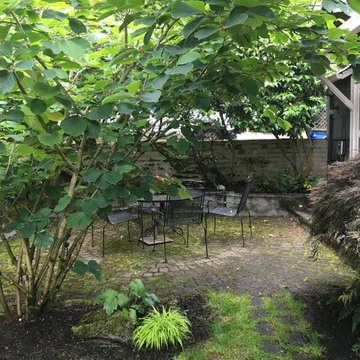Reconfiguring Cyclops - revamping of a facade and front garden