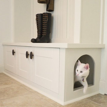 Cat access door