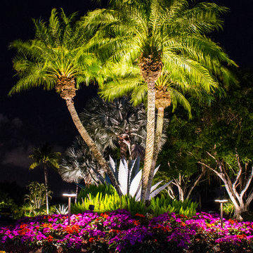 Outdoor Lighting