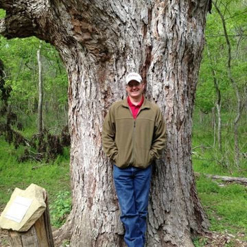 Tree Service Austin TX - Certified Arbor Care (512) 671-8733
