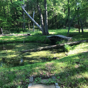 Pond Overhaul - Bedminster, NJ