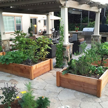 Sub-Urban Agriculture in Danville CA