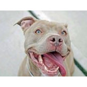 Judy Sircher's photo