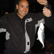 Foto von Nasim Sharf